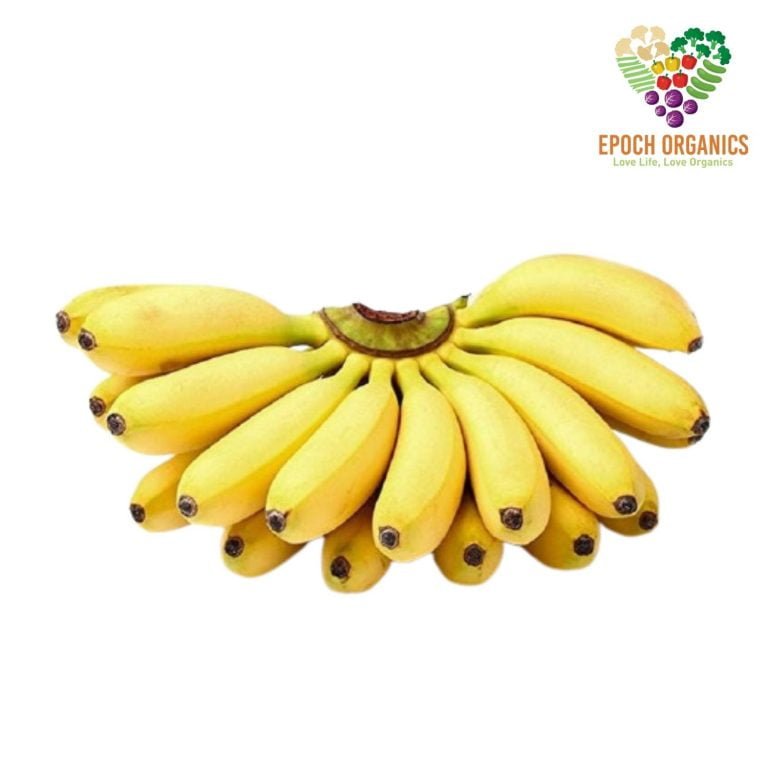 Banana Rastali 拉斯塔利香蕉 (500gm)