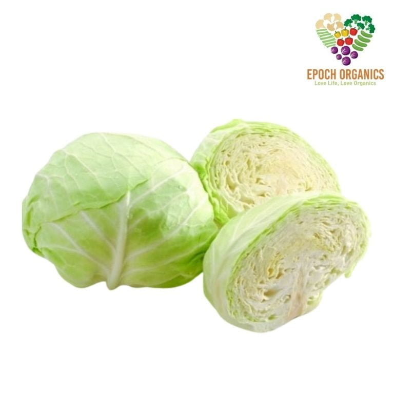 Cabbage 包菜