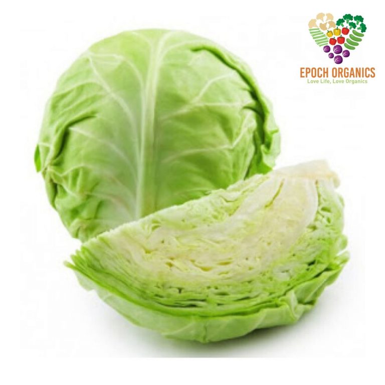 Sweet Cabbage 甜包菜