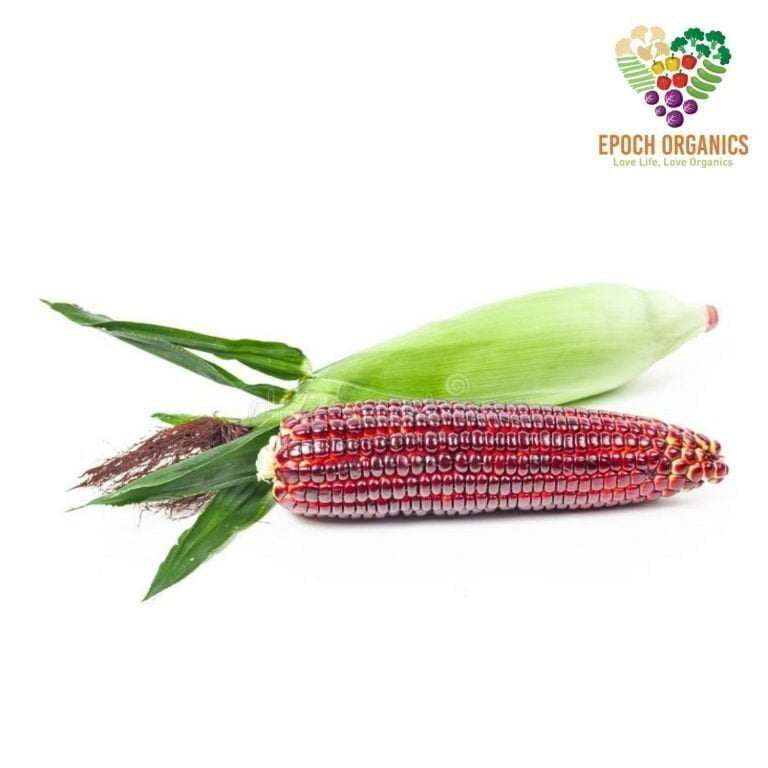 Sweet Corn (Red) 玉米(红) (300±gm)