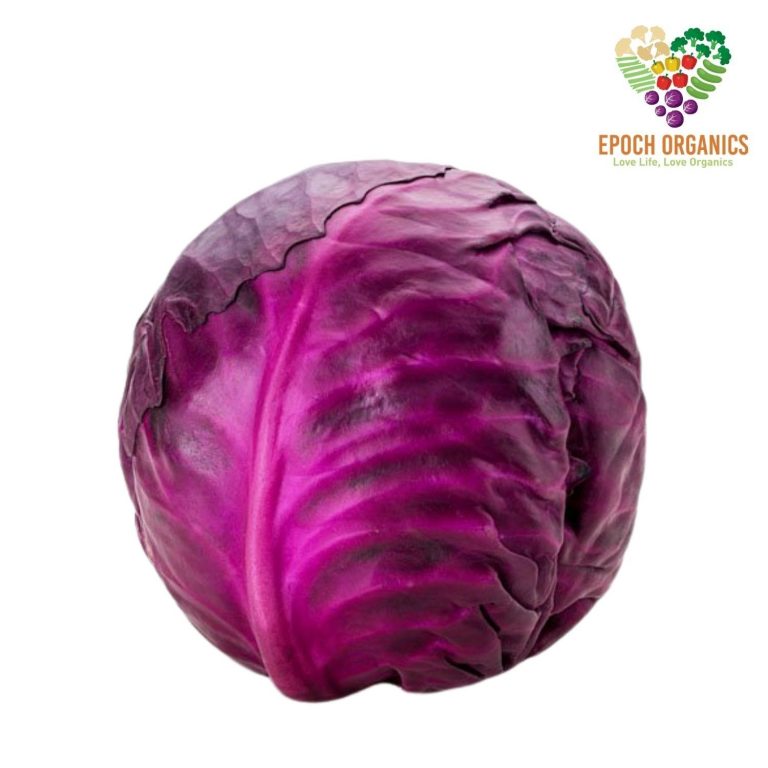 Red Cabbage (whole) 红包菜(整) (1kg±)